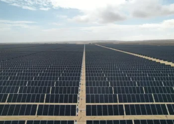 Consumo de combustíveis fósseis reduz em mais de 930 milhões de litros por ano