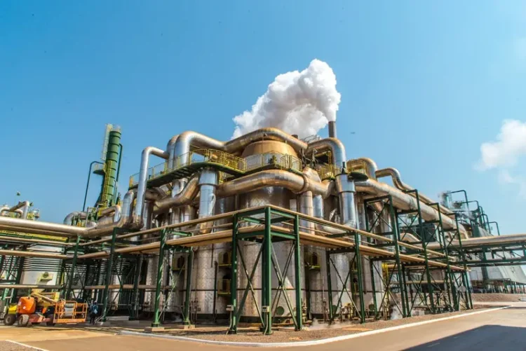 Biocom disponibiliza mais de 12 mil hectares a investidores