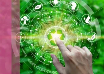 Acções económicas devem focar-se na preservação do ambiente