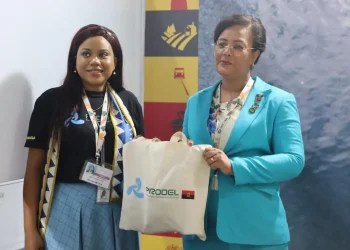 País apresenta Estratégia de Electricidade na COP30