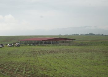 Projecto agrícola ‘Cristalina’ no Pungo a Ndongo avaliado em mais de 2 mil milhões de Kwanzas  