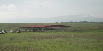 Projecto agrícola ‘Cristalina’ no Pungo a Ndongo avaliado em mais de 2 mil milhões de Kwanzas