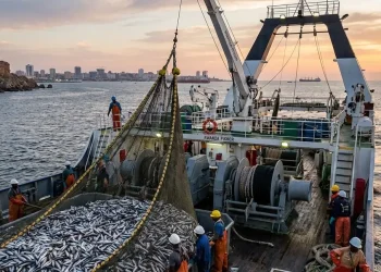 Pesca com novas medidas de gestão e conservação dos recursos