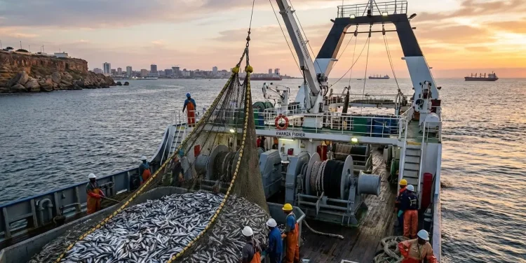 Pesca com novas medidas de gestão e conservação dos recursos