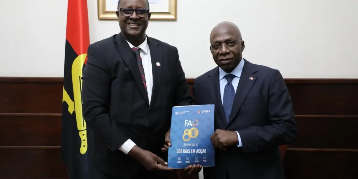 Acreditado novo representante da FAO