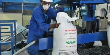 Arroz de Luquembo reforça reserva alimentar