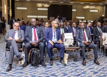 País produz mais de 64 mil toneladas de carne de aves