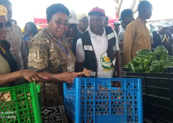 Bengo: 20 milhões de dólares para a aquicultura