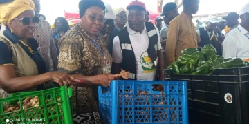 Bengo: 20 milhões de dólares para a aquicultura