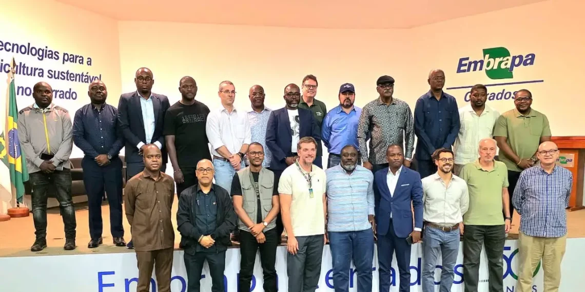 O Brasil e a experiência transgénica na produção de grãos em Angola