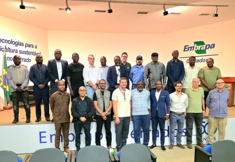O Brasil e a experiência transgénica na produção de grãos em Angola