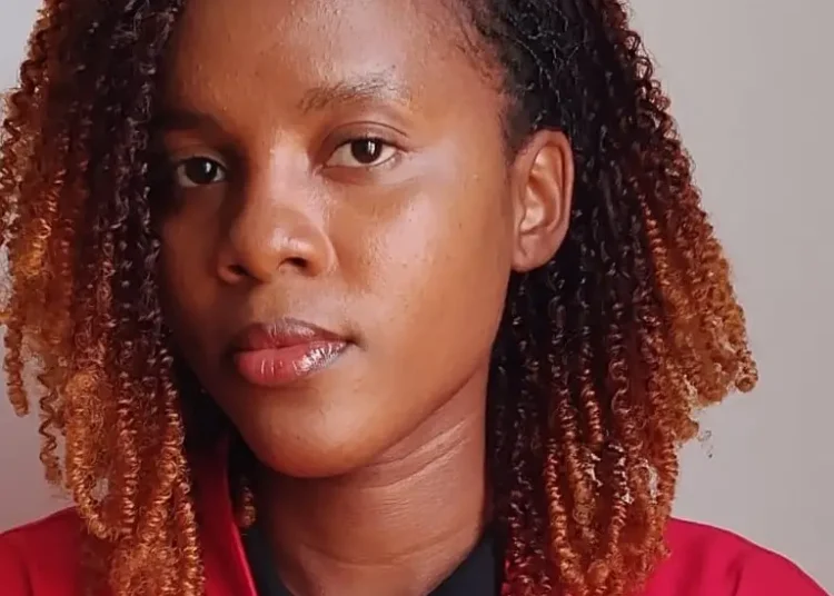 O impacto do OGE de 2026 nas políticas públicas de Angola – O caso do combate à malária