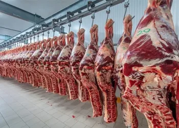 Carne nacional domina prateleiras em supermercados da Huíla