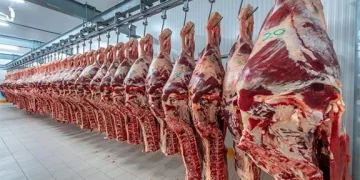Carne nacional domina prateleiras em supermercados da Huíla
