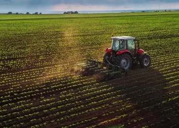 Exploração agrícola no Huambo