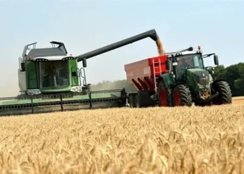 Moxico vai ter fábrica de processamento de arroz