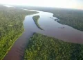 Novo poço de petróleo perfurado com sucesso na Bacia do Baixo Congo