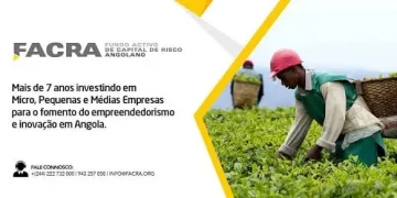 FACRA financia 356 pequenas empresas no Uíge em seis anos