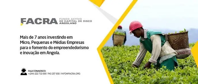 FACRA financia 356 pequenas empresas no Uíge em seis anos