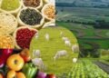 Os números do sector agropecuário no “Estado da Nação 2026”